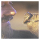 Stampa cataloghi e brochures